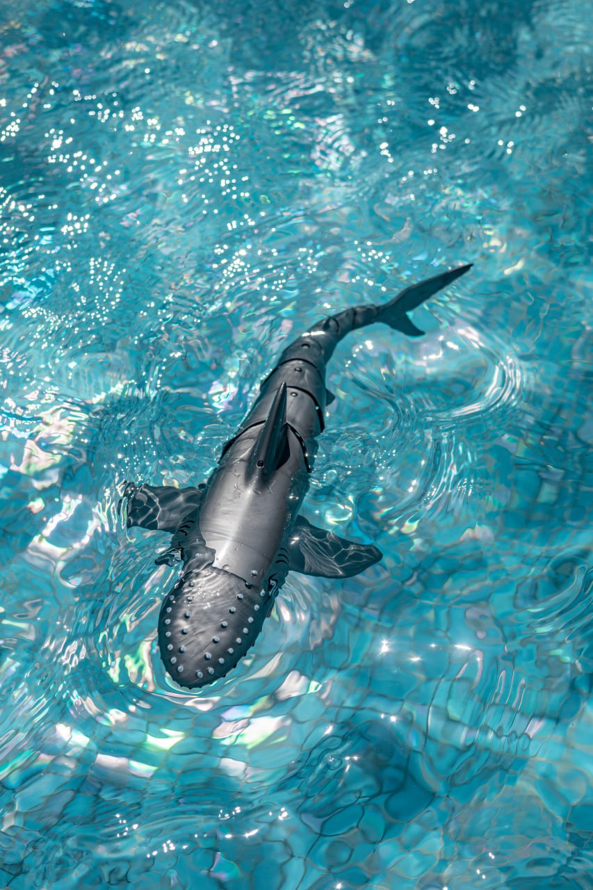 Човен на радіокеруванні SHT FY666 Shark 2.4G Grey Фото №5