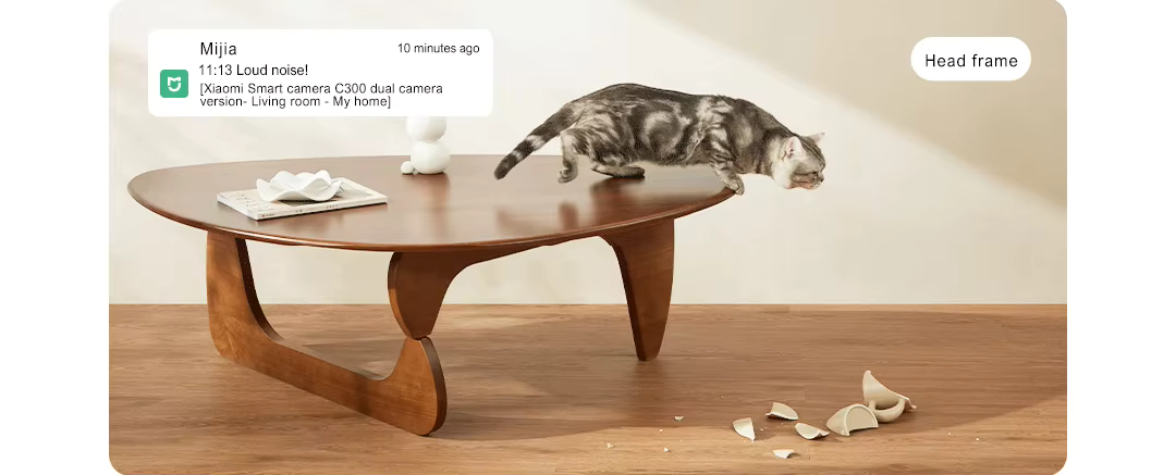 Фото 3 Smart Camera C300 Dual