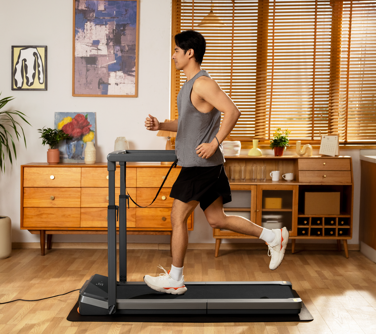 Фото KINGSMITH WalkingPad Z3 hybrid+ (WP400Q42)