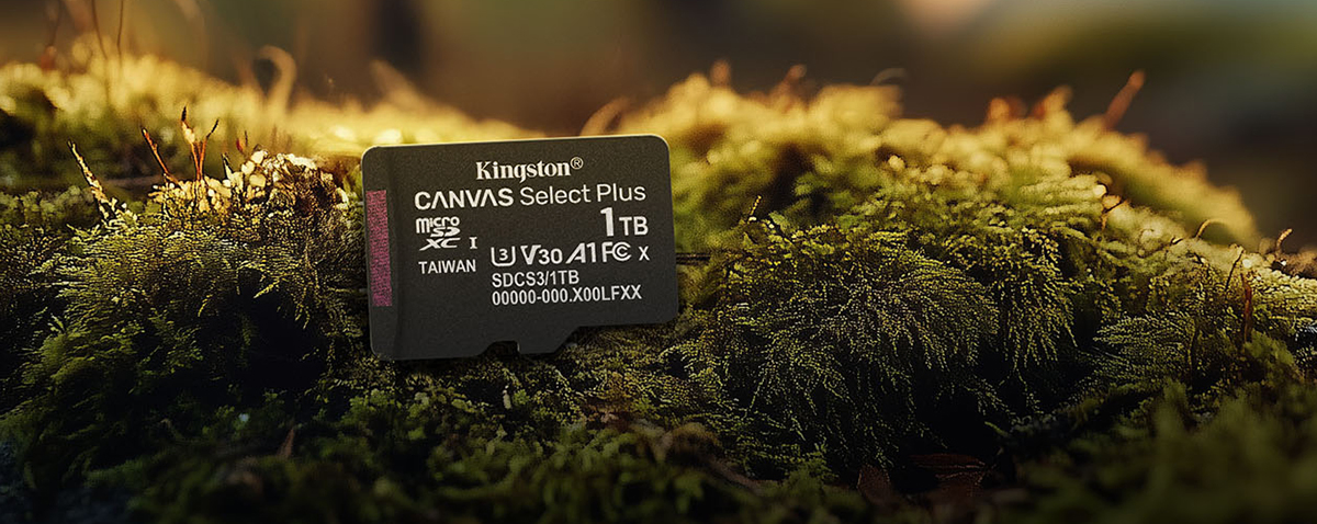Фото  Kingston MicroSDXC 1TB Canvas Select Plus Gen3
