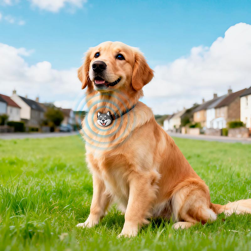 Пошуковий трекер HOCO Tiger smart anti-lost device (dog collar type) E91K |Apple Find My, CR2032, 9-12 months| grey (6942007683678) Сірий на малюнкі №4